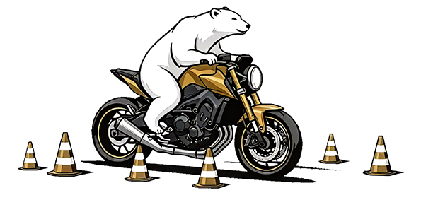 motoniedzwiedz duze 300